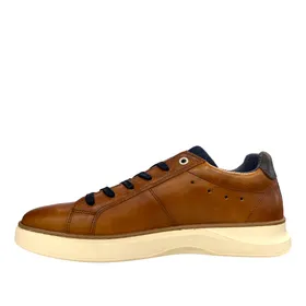 Bull Boxer Sneakers Cuir Brun