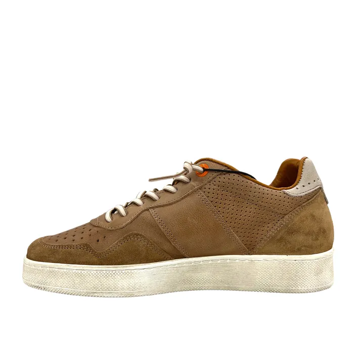 Cetti Sneakers Cuir Brun