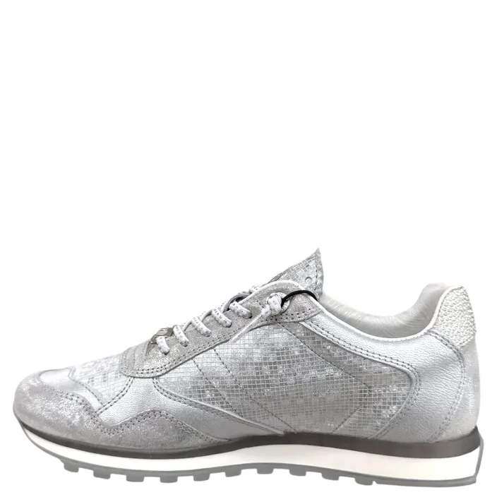 Cetti Sneakers Argent Cuir