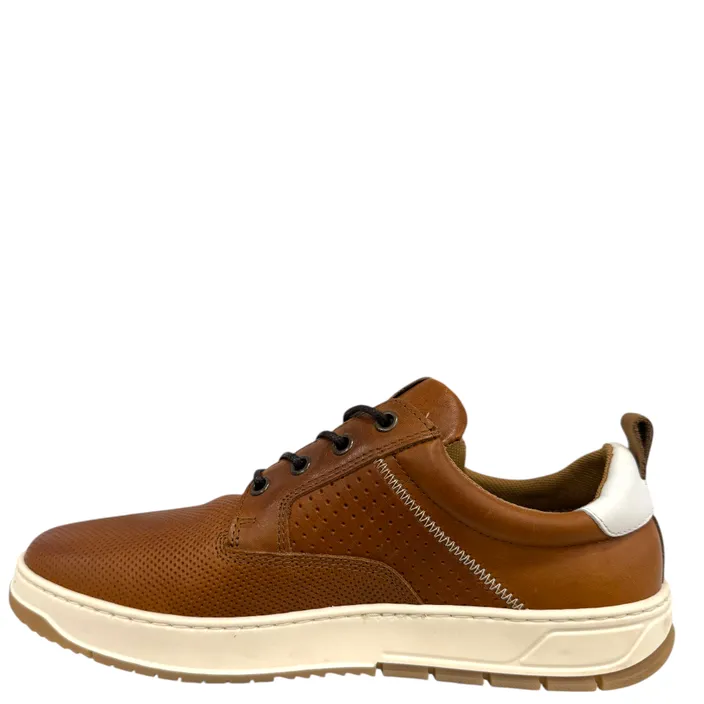 Bull Boxer Sneakers Cognac Cuir