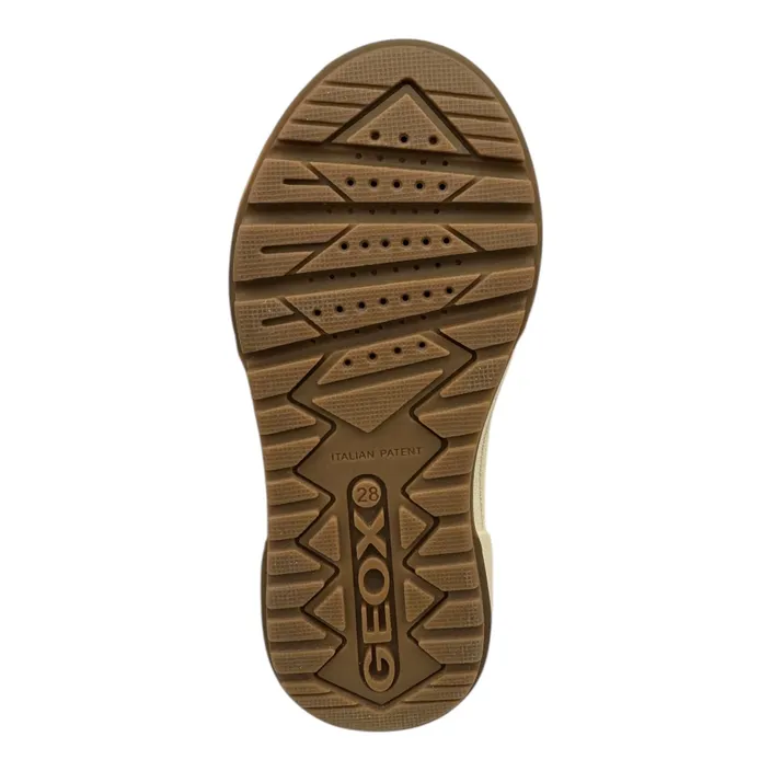 GEOX Weemble Sneakers Green